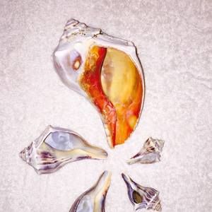 Meet your Posher, Jean